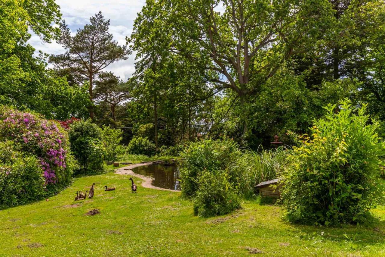 Host & Stay - The Eiders Aylmerton Exterior photo